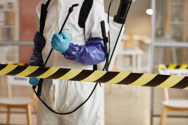 Professional Odor Removal technician working in Albion, PA